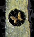 Papillon d'or 1, verre fusing