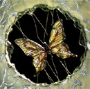 Papillon d'or 2, verre thermoformé